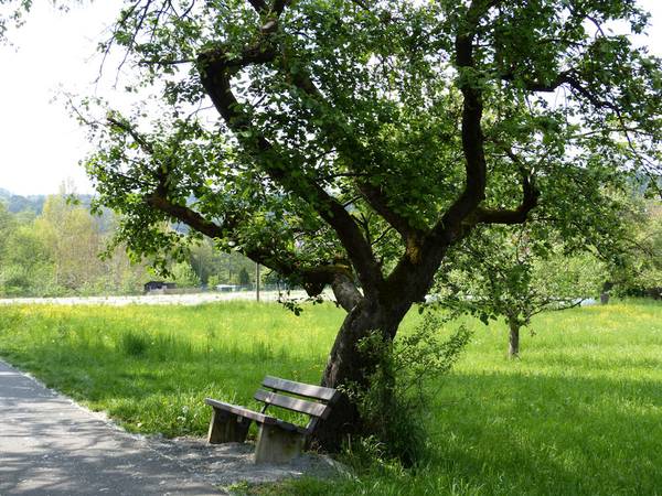 Quelle: Brigitta Meuser